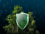 Replay POURQUOI ? - Comment rendre les forêts plus résistantes au feu ?
