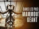 Replay Dans les pas du mammouth géant