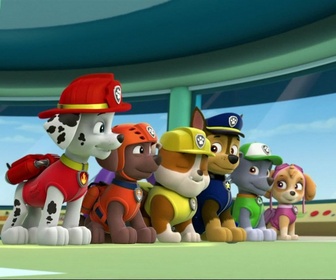 Replay Paw Patrol, la Pat'Patrouille - Une livraison en péril