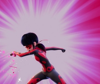 Replay Miraculous - Les aventures de Ladybug et Chat Noir - Sublimation