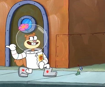 Replay Bob l'éponge - Plankton Karatéka