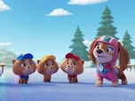 Replay Paw Patrol, la Pat'Patrouille - Le Noël de la Patrouille Junior