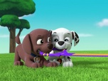 Replay Paw Patrol, la Pat'Patrouille - Sauvetage en mer