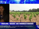 Replay Week-end direct - Violents orages dans le Vaucluse: des vignobles ravagés - 04/06