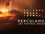 Replay Science grand format - Herculanum, les papyrus décodés