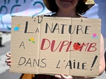 Replay 28 minutes - L'environnement, une question de droit ?