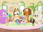 Replay Bluey - 15/10/2025