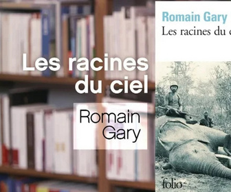 Replay La p'tite librairie - Les Racines du ciel - Romain Gary