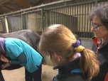 Replay Au galop ! - Un bébé pour Frimousse