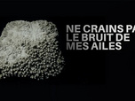 Replay Ne crains pas le bruit de mes ailes