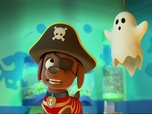 Replay Paw Patrol, la Pat'Patrouille - Le bateau fantôme