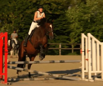Replay Au galop ! - 28/04/2026