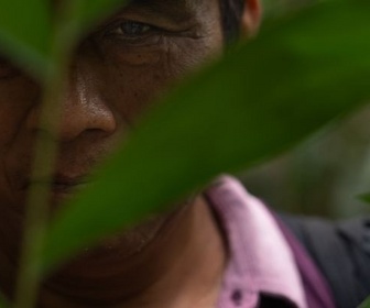 Replay ARTE Reportage - Guatemala : les gardiens de la forêt maya