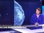 Replay Élément Terre - Cancer du sein : une maladie environnementale ?