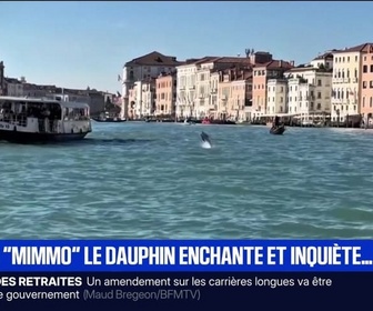 Replay BFM Première prématinale - Le break du mardi 11 novembre