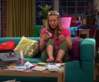 Replay The Big Bang Theory - S3E22 - La saga de l'escalier