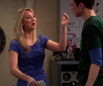 Replay The Big Bang Theory - S3E16 - La rencontre avec le grand Stan
