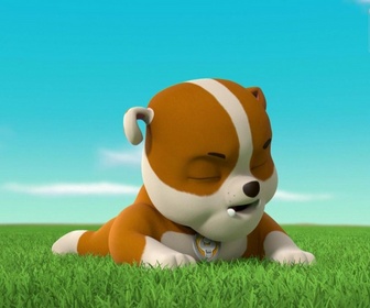 Replay Paw Patrol, la Pat'Patrouille - A la recherche du sac perdu