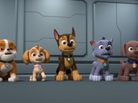 Replay Paw Patrol, la Pat'Patrouille - Mission camion : Le concert de Luke Star