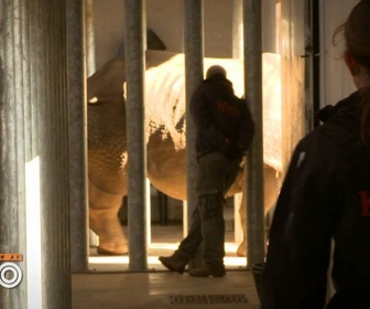 Replay Une saison au zoo - S13 E13