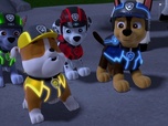 Replay Compilation Paw Patrol, la Pat'Patrouille 17