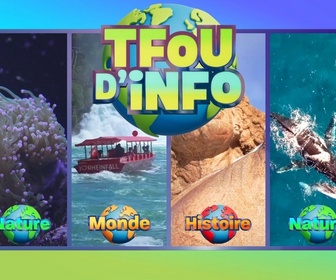 Replay Tfou d'Info du 5 août 2026