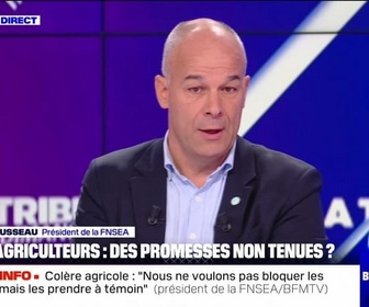 Replay BFM Story Week-end - Colère agricole : Notre ambition, c'est d'attirer l'attention des pouvoirs publics sur la situation de l'agriculture, Arnaud Rousseau - 17/11