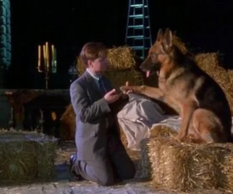 Replay Rex, chien flic - Jalousie