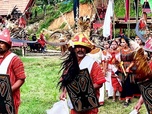 Replay L'île des Célèbes, la cérémonie funéraire du peuple Toraja