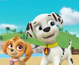 Replay Paw Patrol, la Pat'Patrouille - L'Air Patrouilleur - 26'