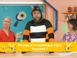 Replay Mission info - Pourquoi le moustique tigre inquiète ?