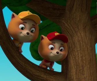 Replay Paw Patrol, la Pat'Patrouille - La Super Patrouille : Nano a le hoquet