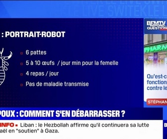 Replay Qu'est-ce qui fonctionne vraiment pour se débarrasser des poux? BFMTV répond à vos questions