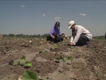 Replay ARTE Journal - Ukraine : des agriculteurs sous la menace des drones russes