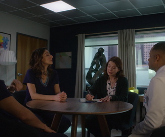 Replay Good Doctor - S1E12 - Voler de ses propres ailes