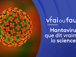 Replay Vrai ou faux, l'émission - 16/05/2026