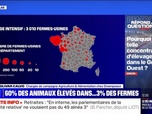 Replay Pourquoi une telle concentration d'élevages dans le Grand Ouest? BFMTV répond à vos questions