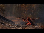 Replay Incendie dans le Var : plus de 2 700 hectares brûlés, 500 personnes évacuées