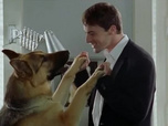 Replay Rex, chien flic - Appels anonymes