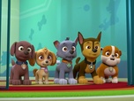 Replay Paw Patrol, la Pat'Patrouille - Un petit déjeuner mouvementé