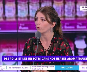 Replay Estelle Midi - Programme de fidélité dans les fast food : faut-il les interdire ?
