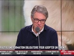 Replay Les Grandes Gueules - Faut-il une formation obligatoire pour adopter un chien ?