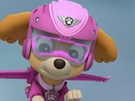 Replay Paw Patrol, la Pat'Patrouille - Il neige sur la jungle