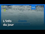 Replay L'info du jour | 20 août 2026 - Mi-journée