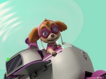 Replay Paw Patrol, la Pat'Patrouille - La plus grosse omelette du monde