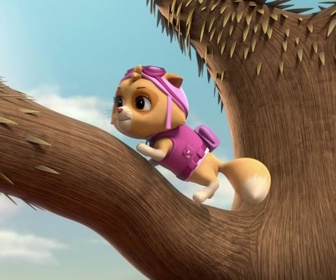 Replay Paw Patrol, la Pat'Patrouille - Le concours du meilleur chili