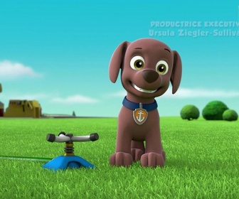 Replay Paw Patrol, la Pat'Patrouille - S06 E03 - Sauvetage extrême : Alerte grosse chaleur