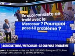 Replay En quoi consiste le Mercosur, pourquoi pose-t-il problème? BFMTV répond à vos questions