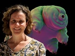 Replay 28 minutes - Tardigrades : la révolution de demain