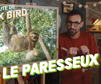 La minute de Max Bird replay